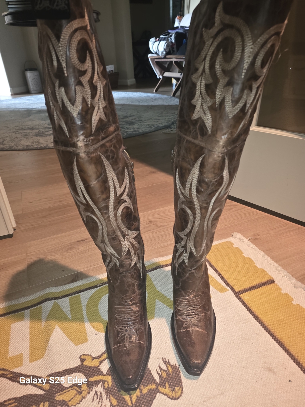 Dan Post Women's Jilted Knee High Western Boots